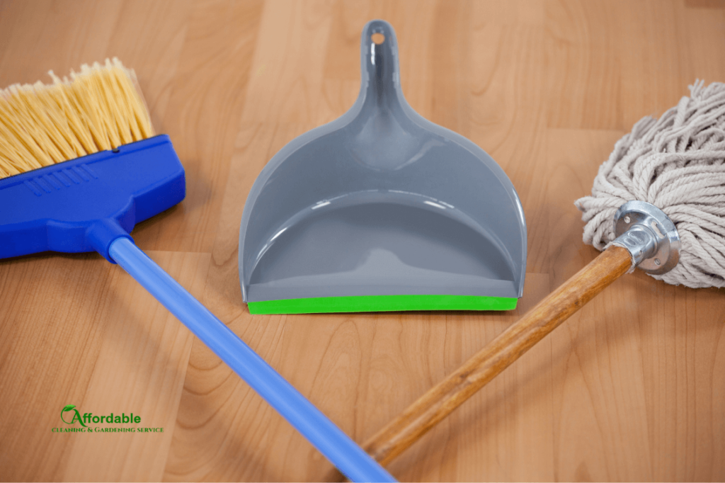 Broom and Dustpan