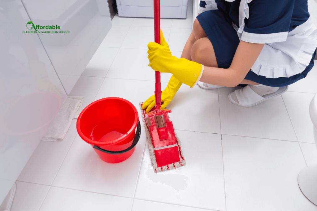 Ceramic tile cleaning