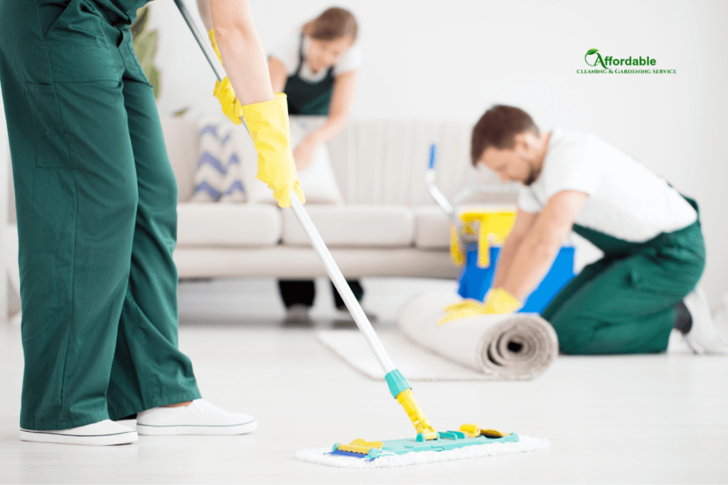 Common Carpet Cleaning Mistakes