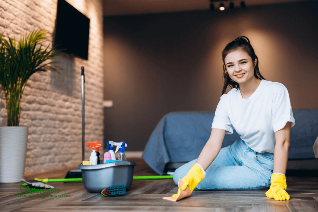 Domestic cleaning services