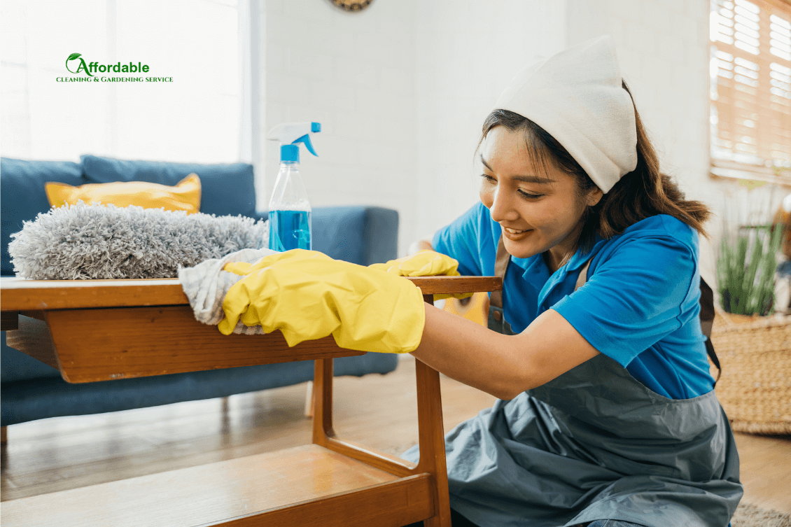 House cleaning services