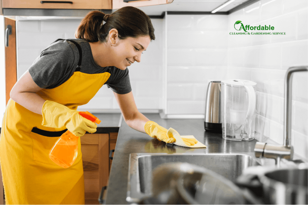 Kitchen appliance cleaning