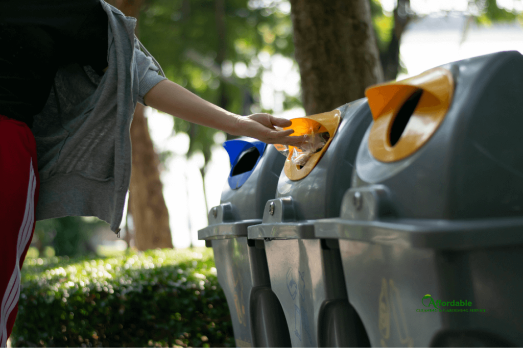 Professional Bin Cleaning Services