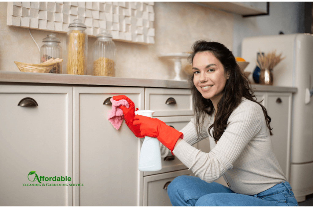 Seasonal cleaning tips