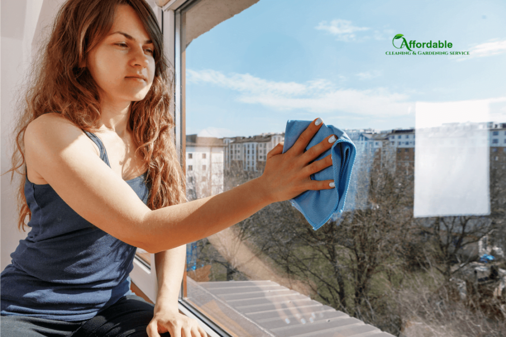 window cleaning solutions